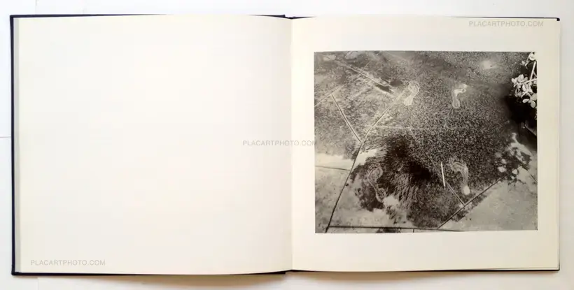 Larry Sultan & Mike Mandel – Evidence