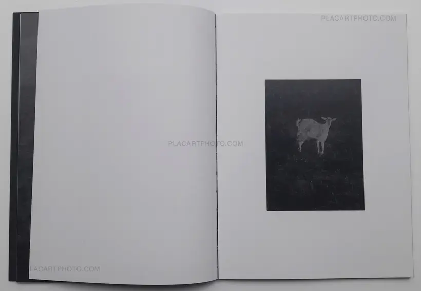 Constantin Schlachter – La Trajectoire du Gyrovague (ONLY 70 COPIES WITH A PRINT)