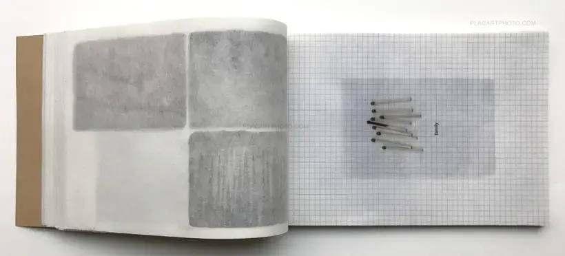 Alexia-Lazare Monduit – Into my song (ONLY 30 COPIES WITH A PRINT)