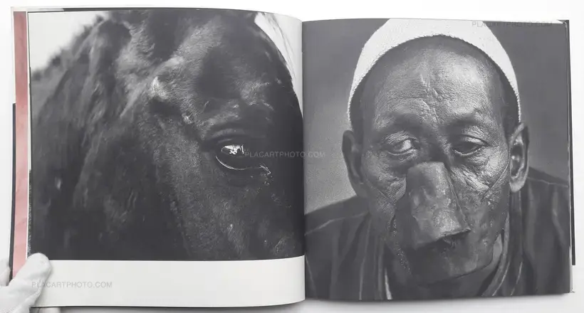 Koos Breukel – The Wretched skin (DEDICATED)