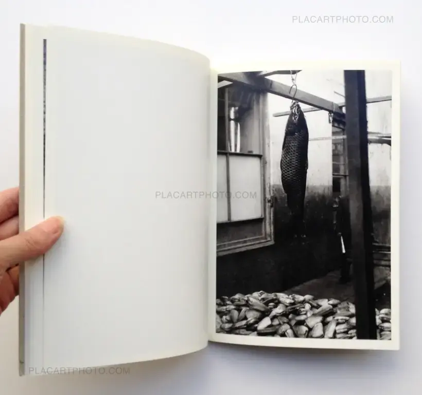 Sergio Larrain – Valparaiso