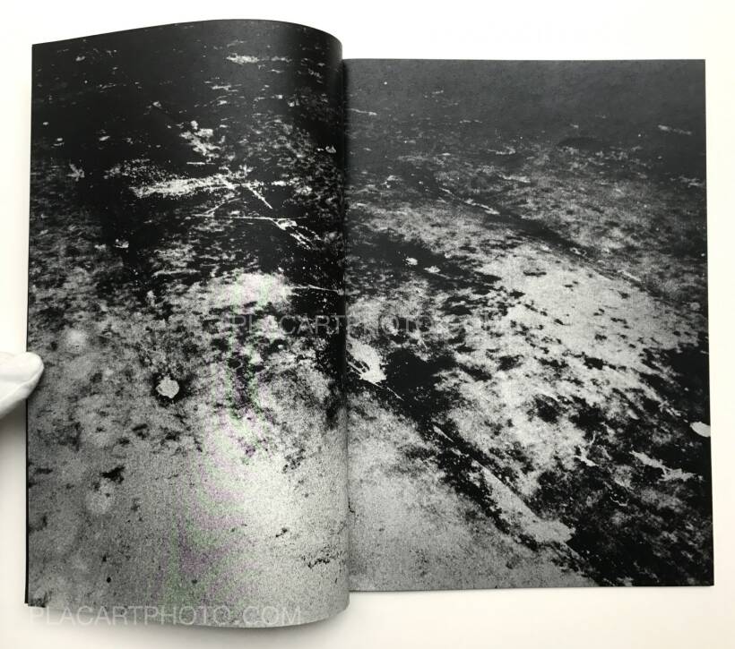 Daisuke Yokota: Back Yard [Signed] - 雑誌