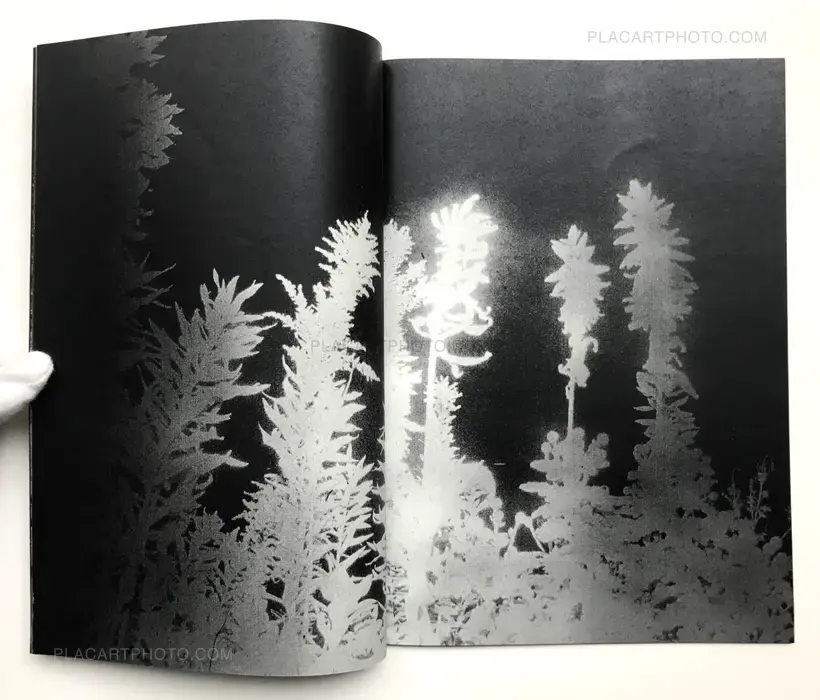 Daisuke Yokota – Back Yard