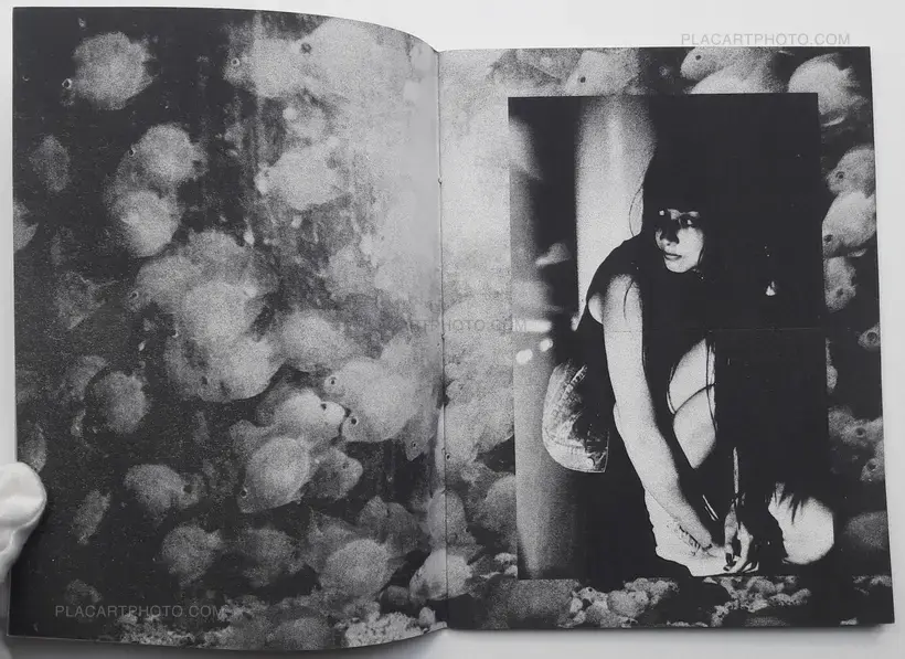 Nick Haymes – North East South West (LTD & SIGNED)
