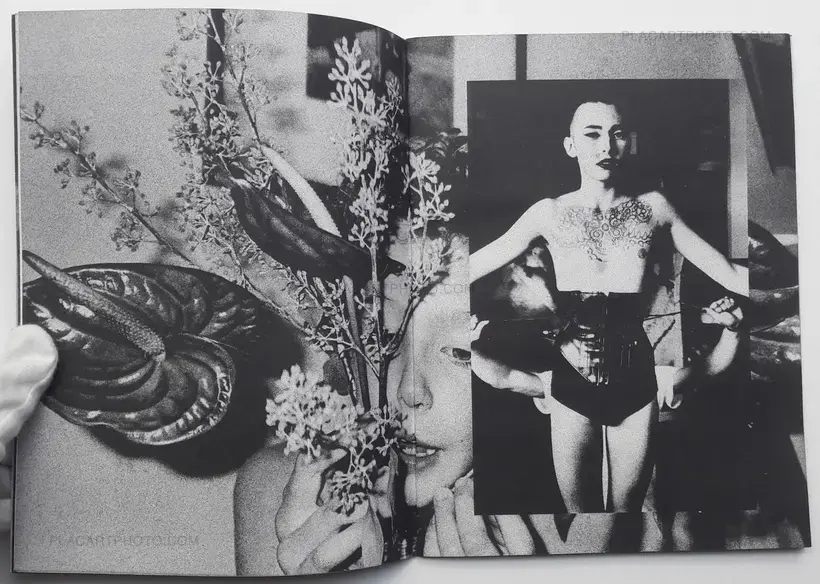 Nick Haymes – North East South West (LTD & SIGNED)