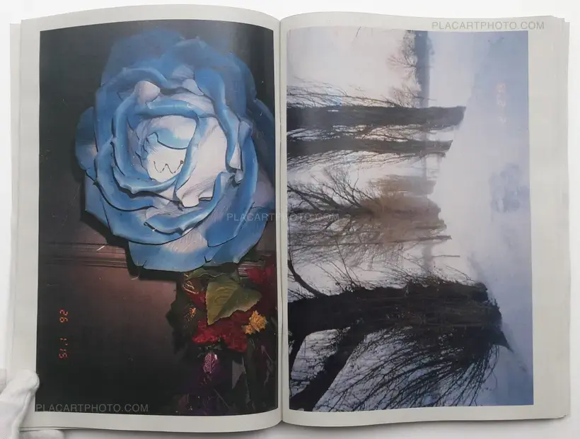 Daisuke Yokota – Towards the North (SIGNED)