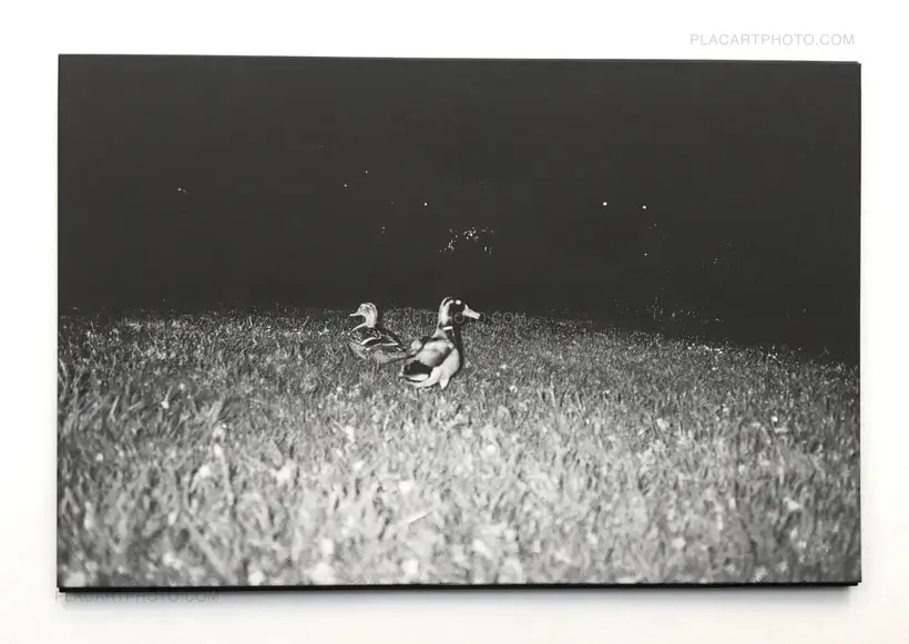Nai Wen Hsu – Unspoken (Signed and numbered copy)