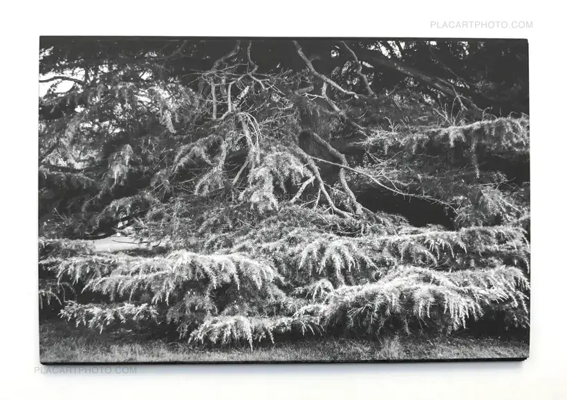 Nai Wen Hsu – Unspoken (Signed and numbered copy)