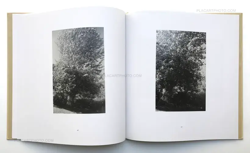 Robert Adams – PINE VALLEY (SPECIAL SIGNED LTD EDT WITH PRINT)