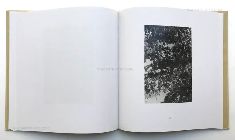 Robert Adams – PINE VALLEY (SPECIAL SIGNED LTD EDT WITH PRINT)