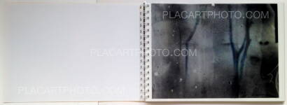 Daisuke Yokota,Toransupearento Daisuke Yokota,Toransupearento