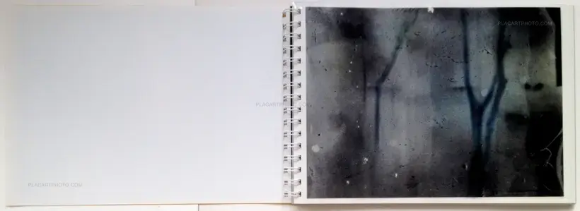 Daisuke Yokota – Toransupearento