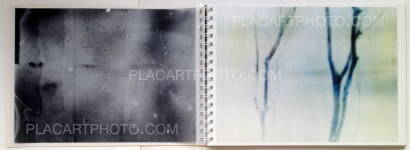 Daisuke Yokota,Toransupearento Daisuke Yokota,Toransupearento