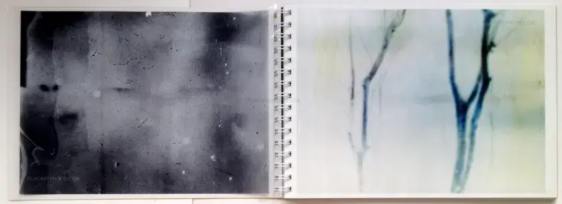 Daisuke Yokota – Toransupearento