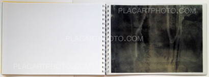 Daisuke Yokota,Toransupearento Daisuke Yokota,Toransupearento