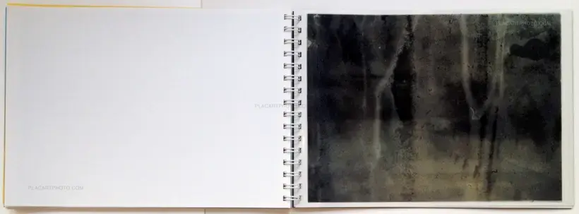 Daisuke Yokota – Toransupearento