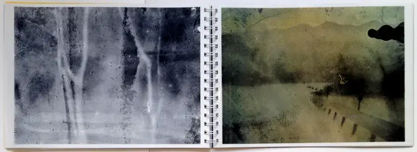 Daisuke Yokota – Toransupearento