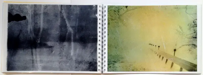 Daisuke Yokota – Toransupearento