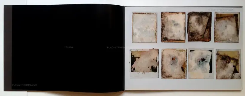 Arianna Arcara & Luca Santese – Found Photos in Detroit (In shrink-wrap)