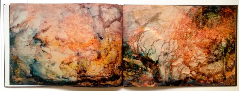 Arianna Arcara & Luca Santese – Found Photos in Detroit (In shrink-wrap)