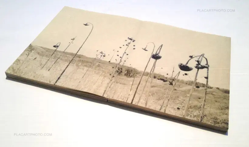 Miho Kajioka – And where did the peacocks go ? (2nd Edition with slipcase (50 copies))