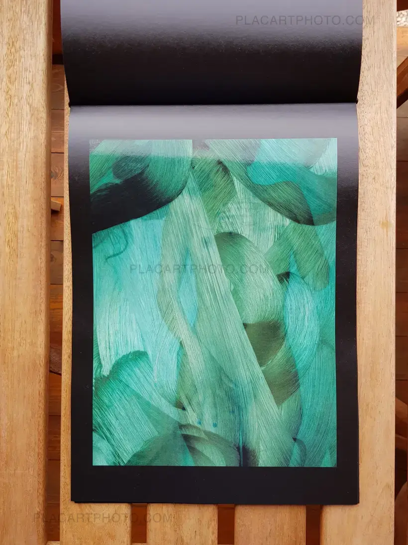 Tiane Doan na Champassak – Strokes (Signed!)
