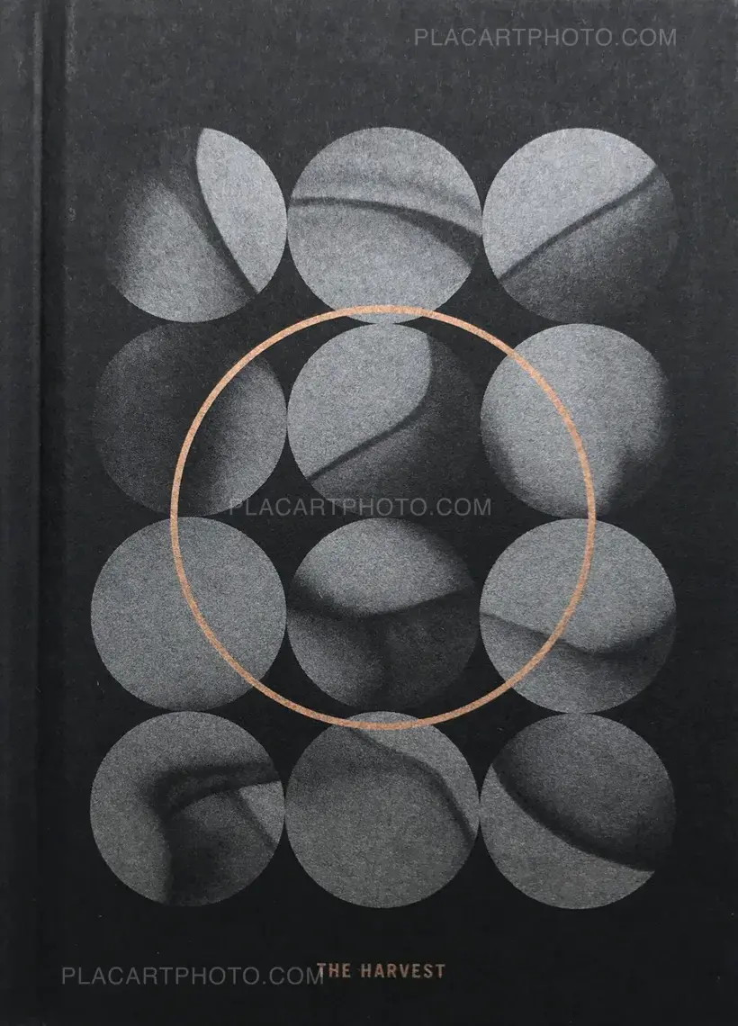 Valentina Abenavoli – THE HARVEST