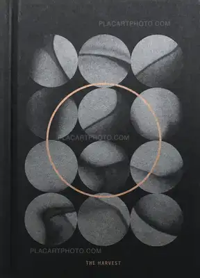 Valentina Abenavoli – THE HARVEST