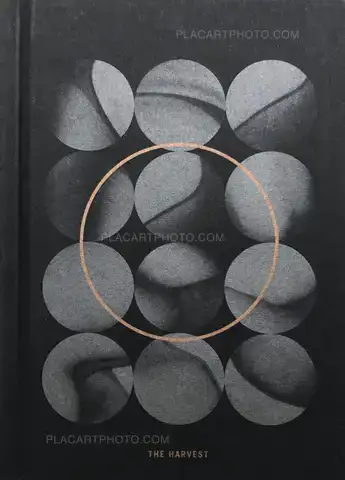 Valentina Abenavoli – THE HARVEST