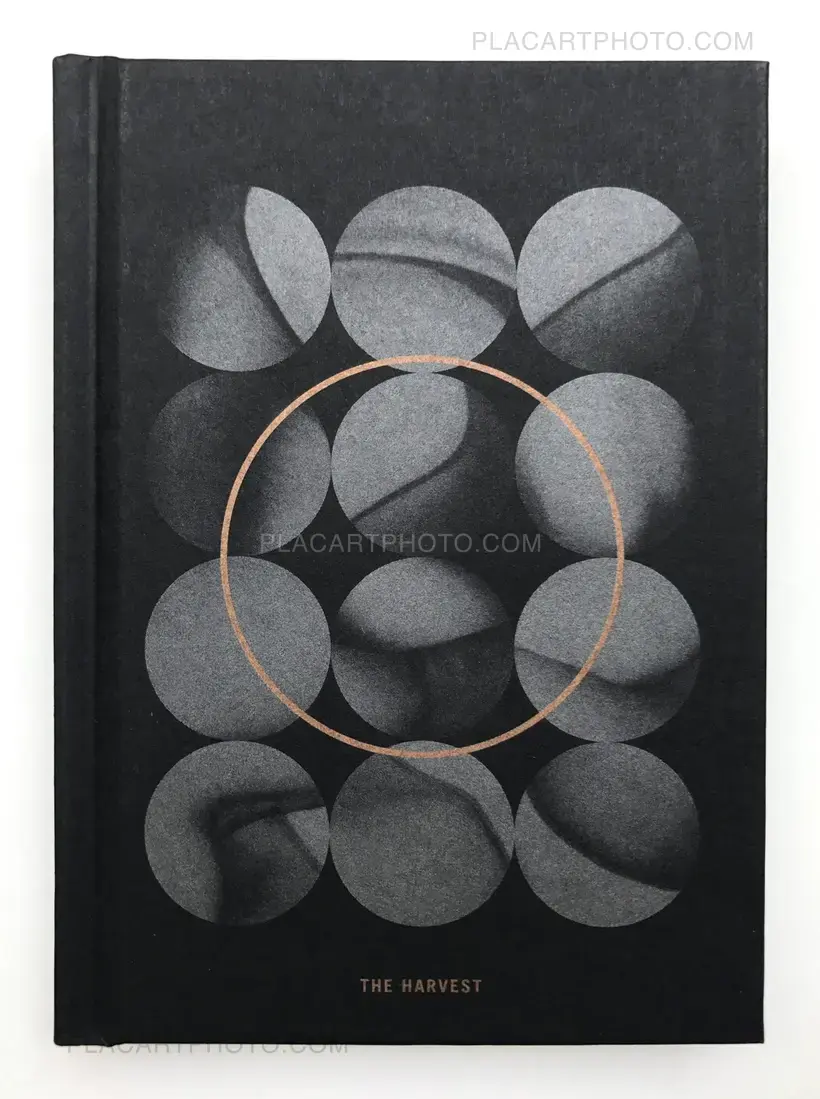 Valentina Abenavoli – THE HARVEST