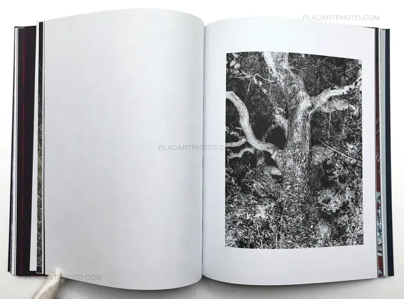 Lukasz Rusznica – Subterranean River (Signed copy)