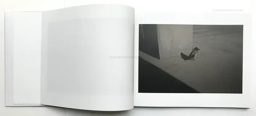 Stefan Bladh – Hidden Kingdom (Signed copy)