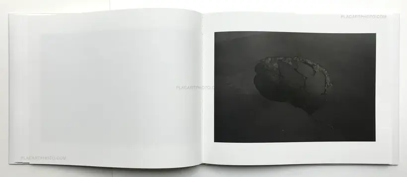 Stefan Bladh – Hidden Kingdom (Signed copy)