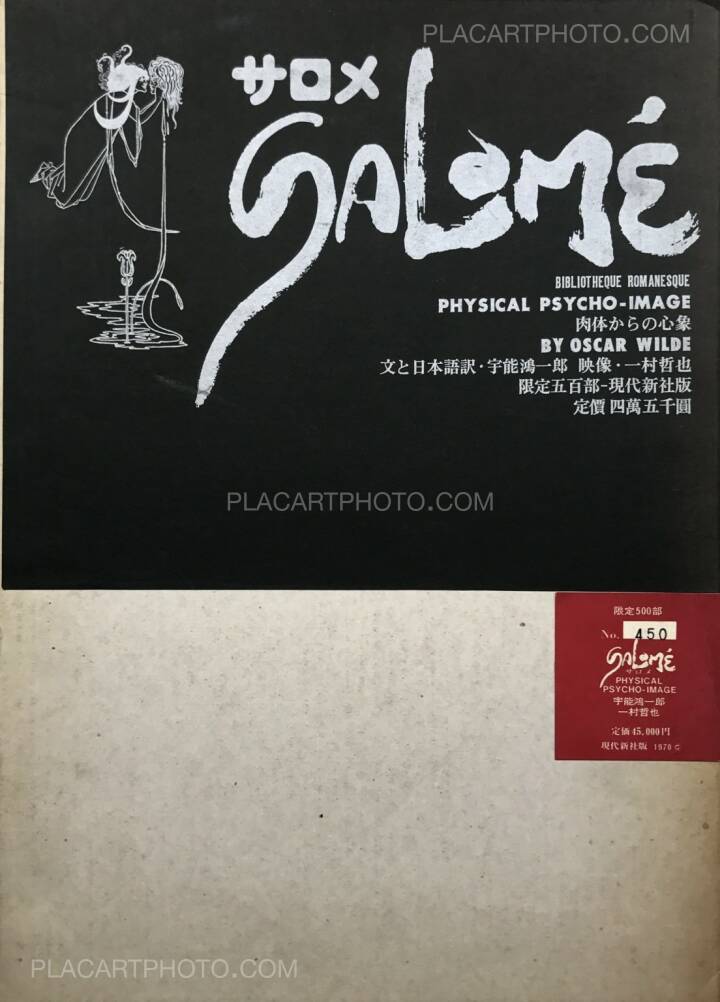 質重視サロメ 写真集 SALOME BIBLIOTHEQUE ROMANESQUE 芸術、美術史