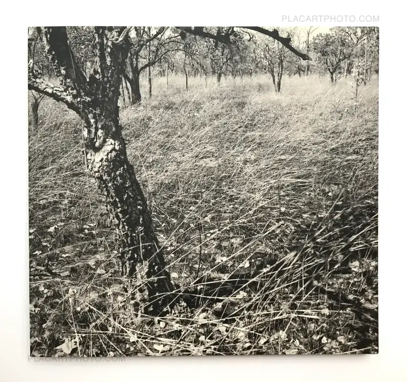 Jo Ractliffe – As Terras do Film do Mundo (SIGNED)