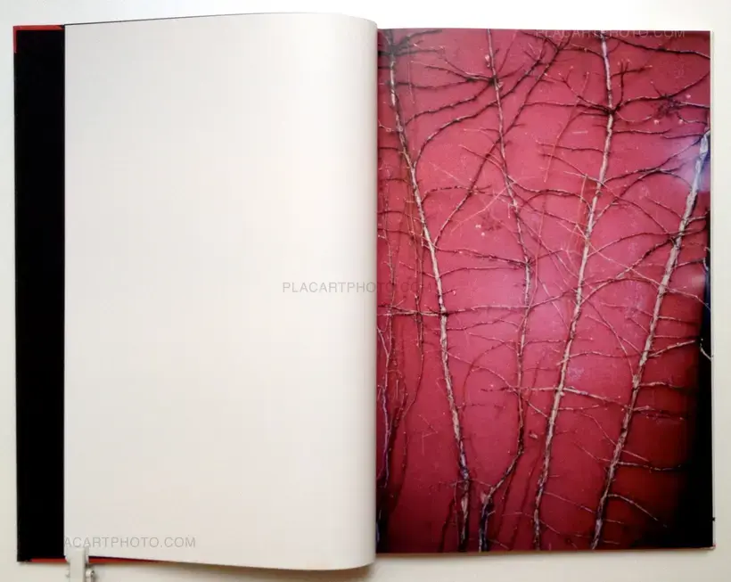 Katinka Goldberg – Surfacing