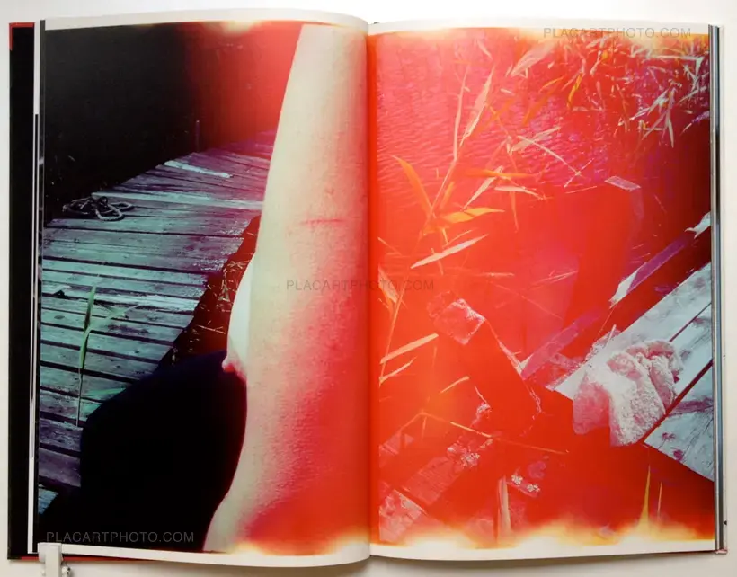 Katinka Goldberg – Surfacing