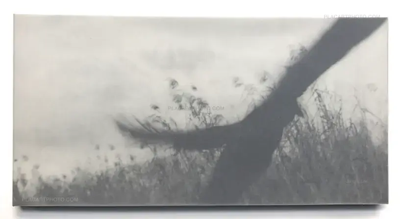 Jungjin Lee – EVERGLADES