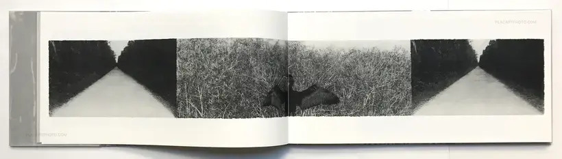 Jungjin Lee – EVERGLADES