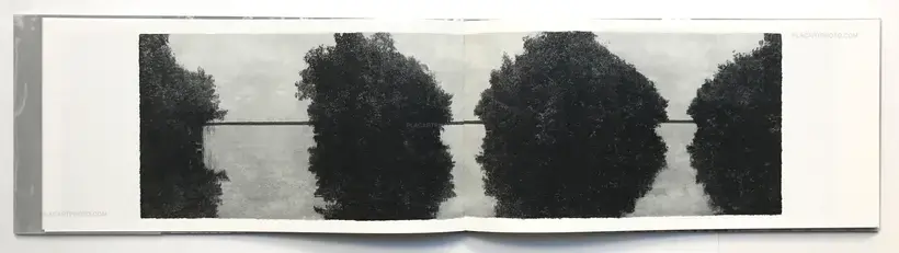Jungjin Lee – EVERGLADES