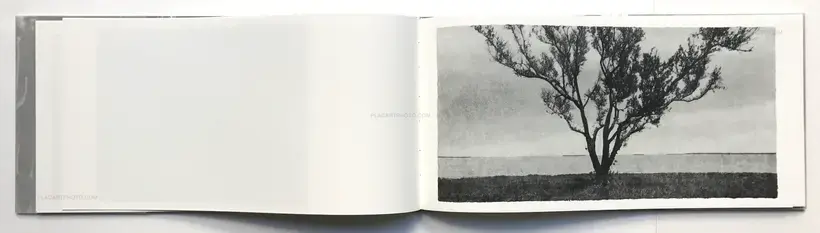 Jungjin Lee – EVERGLADES