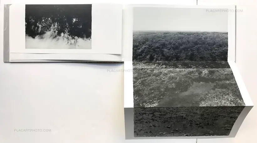 Jungjin Lee – EVERGLADES