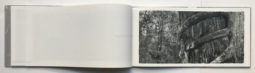 Jungjin Lee – EVERGLADES