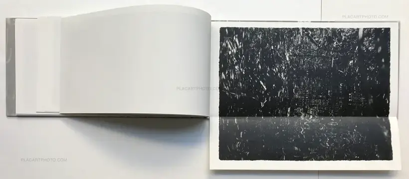 Jungjin Lee – EVERGLADES