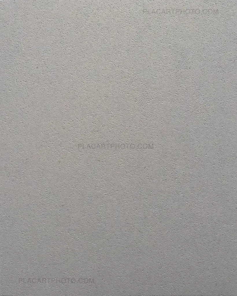 Miho Kajioka – And where did the peacocks go ? (Regular edition of 400 copies) SIGNED