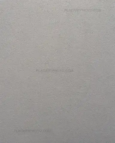 Miho Kajioka – And where did the peacocks go ? (Regular edition of 400 copies) SIGNED