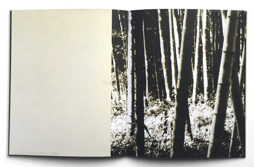 Miho Kajioka – And where did the peacocks go ? (Regular edition of 400 copies) SIGNED