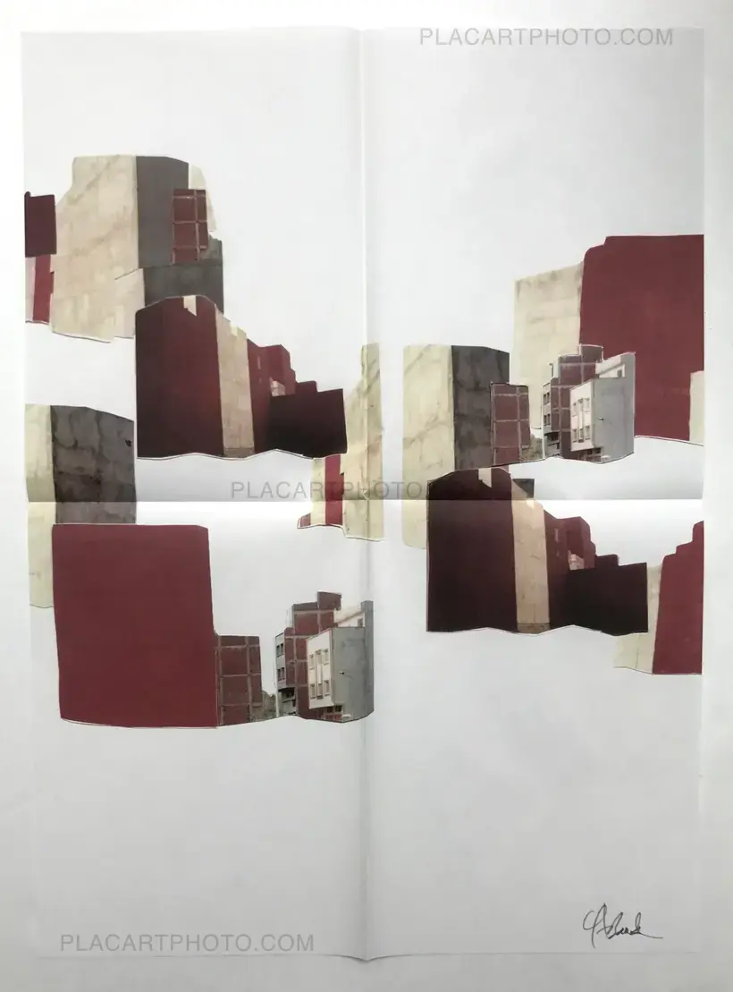 Yto Barrada – A guide to trees for governors and gardeners (Signed Ltd edt)