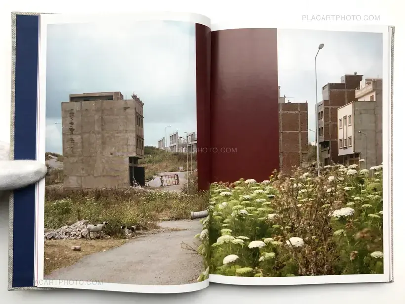 Yto Barrada – A guide to trees for governors and gardeners (Signed Ltd edt)