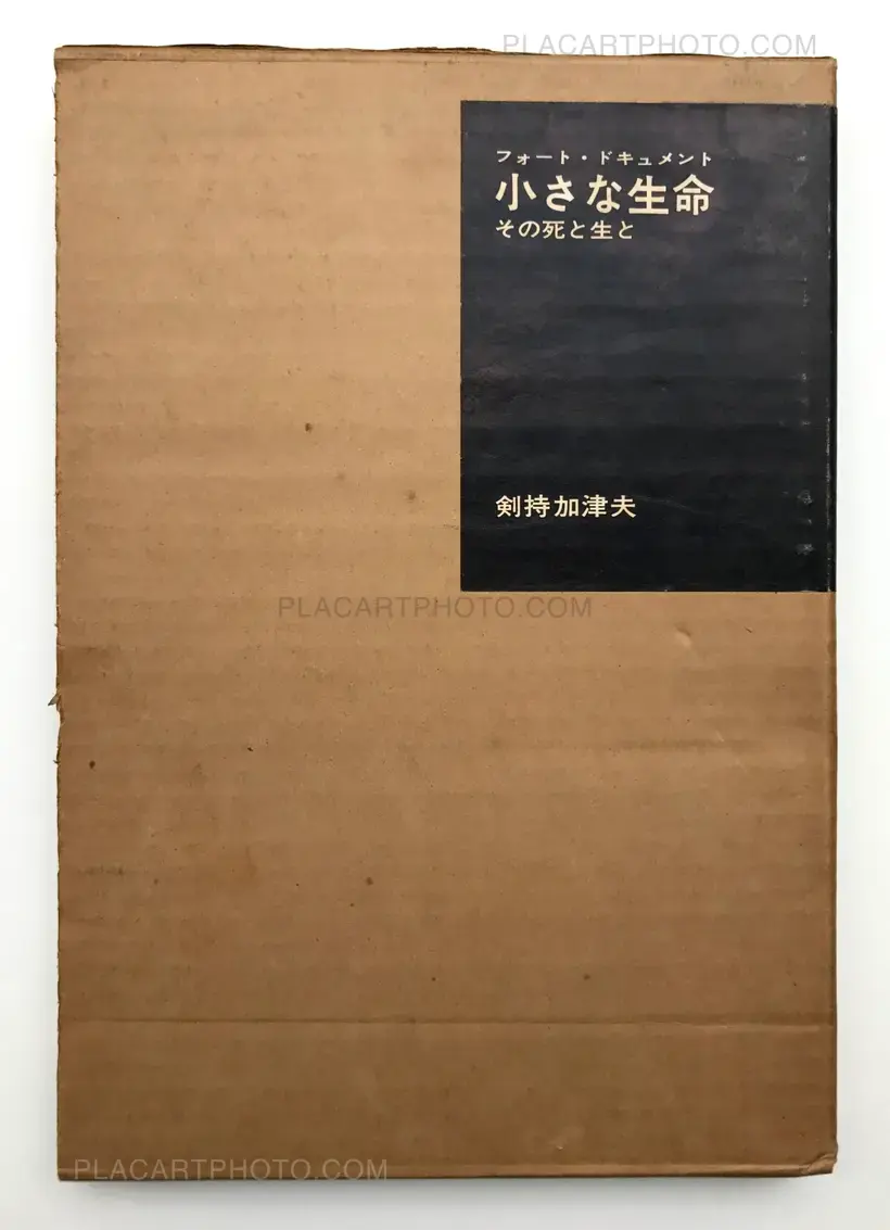 Kazuo Kenmochi – PHOTOGRAPHIC DOCUMENT THE TINIEST LIFE